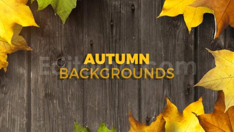 دانلود 8 بک گراند برگ های پاییزی Autumn Backgrounds
