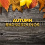 دانلود 8 بک گراند برگ های پاییزی Autumn Backgrounds