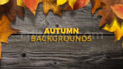 دانلود 8 بک گراند برگ های پاییزی Autumn Backgrounds