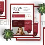 دانلود فایل لایه باز رزومه با تم قرمز clean red resume