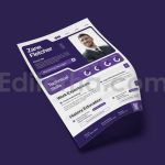 دانلود فایل لایه باز رزومه حرفه ای Fortivest Insurance - Resume