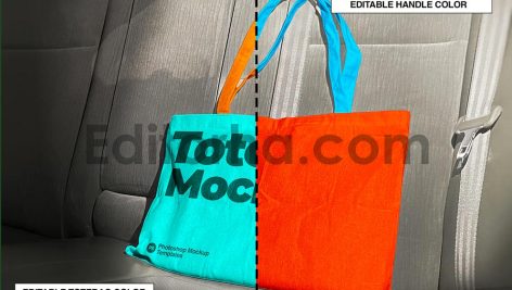 موکاپ بگ صندلی ماشین2