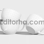 موکاپ ماگ3