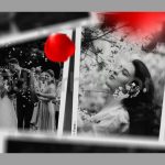 دانلود پروژه آماده افترافکت: اسلایدشو عاشقانه با گلبرگ رز قرمز Romantic Slideshow