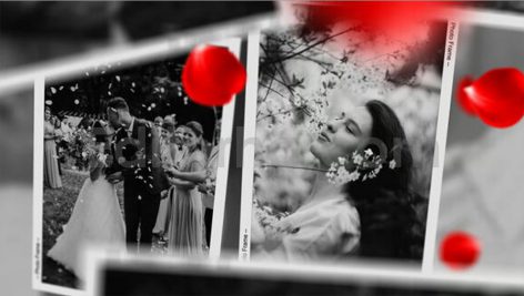 دانلود پروژه آماده افترافکت: اسلایدشو عاشقانه با گلبرگ رز قرمز Romantic Slideshow