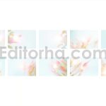 دانلود اورلی‌های دیجیتال با جلوه‌ های نور خورشید بهاری Sunny Spring Overlays