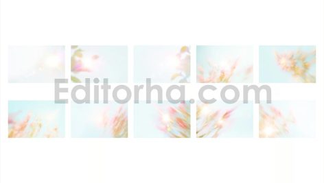 دانلود اورلی‌های دیجیتال با جلوه‌ های نور خورشید بهاری Sunny Spring Overlays
