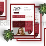 دانلود فایل لایه باز رزومه با تم قرمز clean red resume