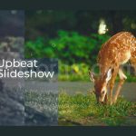 دانلود پروژه آماده پریمیر: اسلایدشو Upbeat Slideshow
