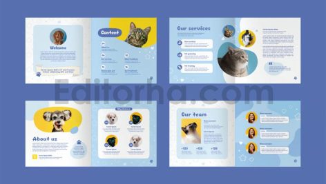 Pet Shop Catalogue