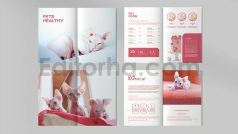 Pet Shop Catalogue