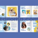 Pet Shop Catalogue