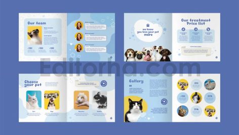 Pet Shop Catalogue