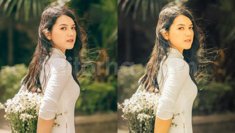 ai optimized old cinematic film lightroom presets