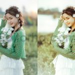 ai optimized old cinematic film lightroom presets