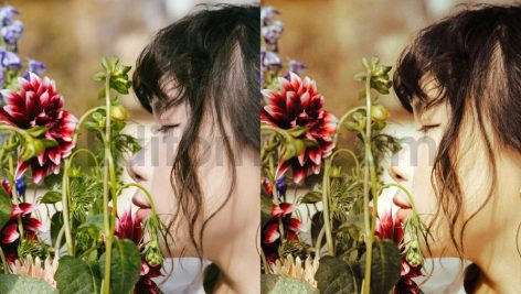 ai optimized old cinematic film lightroom presets