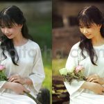 ai optimized old cinematic film lightroom presets
