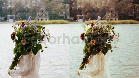 ai optimized old cinematic film lightroom presets