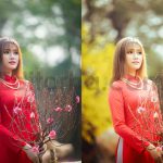 ai optimized old cinematic film lightroom presets