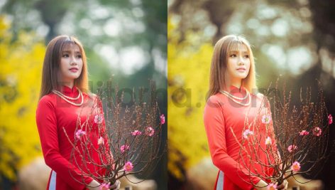 ai optimized old cinematic film lightroom presets