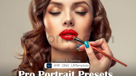 pro portrait lightroom presets