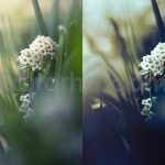ai optimize dark green lightroom presets