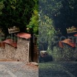 ai optimize dark green lightroom presets