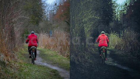 ai optimize dark green lightroom presets
