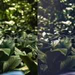 ai optimize dark green lightroom presets