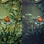 ai optimize dark green lightroom presets