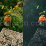 ai optimize dark green lightroom presets
