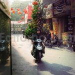 ai optimized vintage vibes lightroom presets