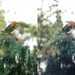 ai optimize dark green lightroom presets