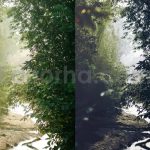 ai optimize dark green lightroom presets
