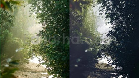 ai optimize dark green lightroom presets