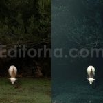 ai optimize dark green lightroom presets