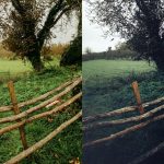 ai optimize dark green lightroom presets