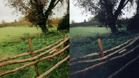 ai optimize dark green lightroom presets