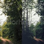 ai optimize dark green lightroom presets