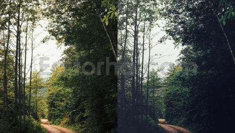 ai optimize dark green lightroom presets