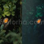 ai optimize dark green lightroom presets