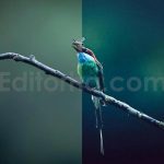 ai optimized macro photography lightroom presets