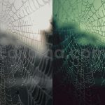 ai optimized macro photography lightroom presets