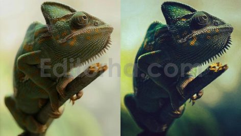 ai optimized macro photography lightroom presets