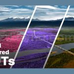دانلود پریست داوینچی ریزالو: LUTهای مادون قرمز Aerochrome Infrared LUTs