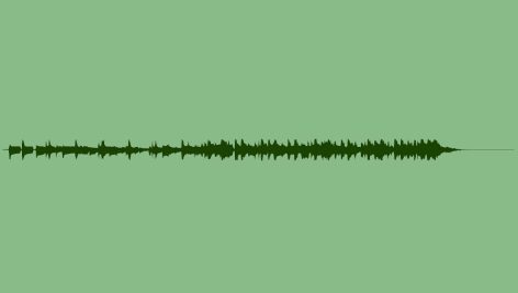 Slap Bass Logo