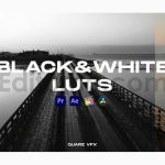 دانلود پریست داوینچی ریزالو: پریست رنگ سیاه و سفید Black&White LUTs