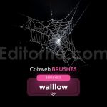 15 realistic cobweb photoshop brush set