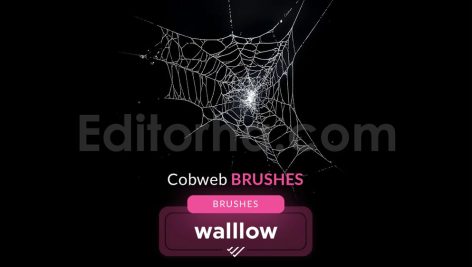 15 realistic cobweb photoshop brush set