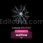 15 realistic cobweb photoshop brush set
